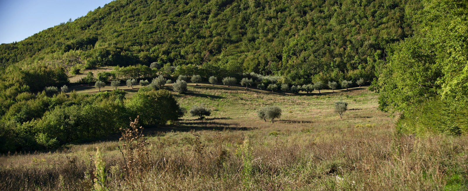 Kırsal / Doğa